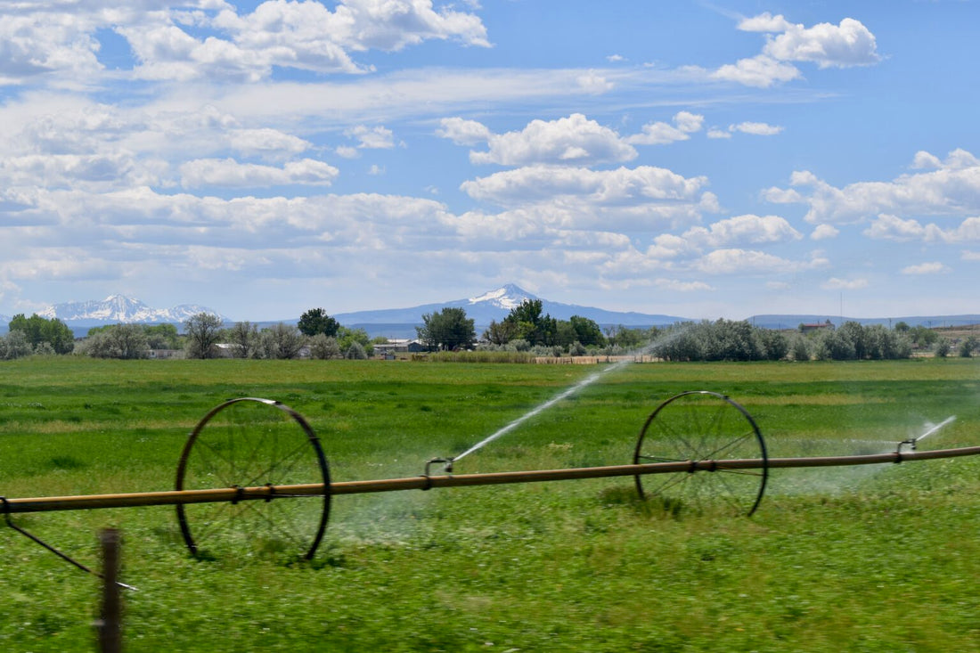 Polis signs bills to reduce groundwater use, fund water conservation projects